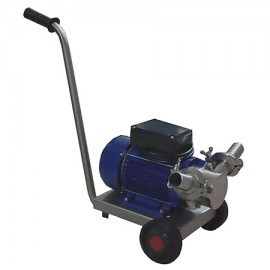 Electropompa EURO 40M/T, 2 CP, 9500 l/h, ROTOR FLEXIBIL SI CARUCIOR
