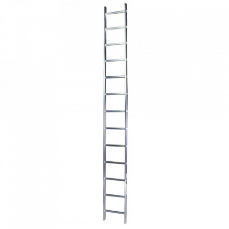 Bisonte Scara simpla Bisonte 11 trepte, STR111 3.00 m aluminiu (BT1006295)
