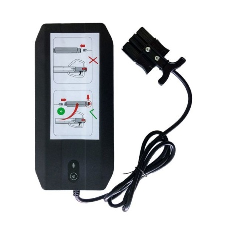 Incarcator rapid pentru baterie Pramac EY000A00021, 42 V, 6 A, Agile