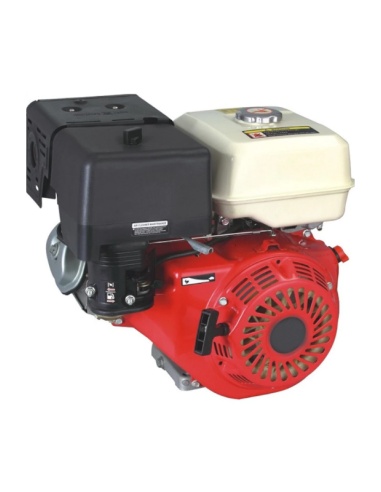 Motor Weima WM300F/P ax canelat 9.5 CP, Q25MM compatibil motosapa WM1100D