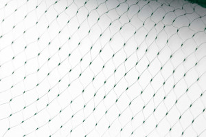 PLASA antiPASARI 4× 20m [20×20]mm verde - Img 3