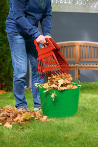 Grebla frunze Wolf-Garten 4-IN-1, latime de lucru reglabila 76-48-20cm - Img 4