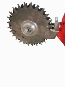Disc pentru taiere lăstari RTSP001-100mm - Img 1