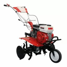 Motocultor BISONTE Agro Garden BTA-750 FR latime lucru 560–830mm adancime 300mm motor 7cp (FR-FC) - Img 1