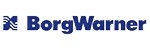 BorgWarner (BERU)