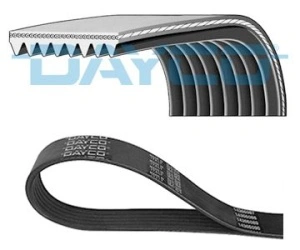 Curea transmisie cu caneluri DAYCO 1911400020
