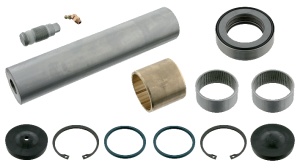 Set reparatie, pivot RENALT RVI 50 10 216 742