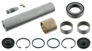 Set reparatie, pivot RENALT RVI 50 10 216 742