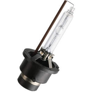 Bec xenon D2S