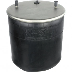 Perna aer pt. BPW TYP 36 completa cu piston
