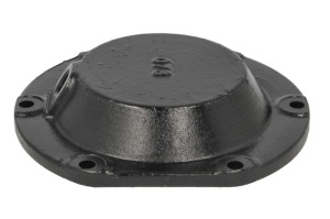 capac de protectie,butuc roata MAN 81.41352.0009