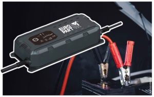 Redresor baterie - SMART Charger - Dual Voltage - EUROPART - 12/24V - 25/12,5A - Img 2