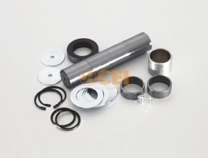 Set reparatie, pivot CEI 1000230063