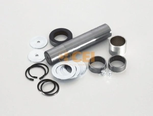 Set reparatie, pivot CEI 1000230063