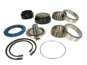 Set reparatie, butuc roata BPW 6098010733