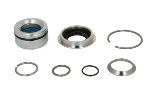 Set reparatie, cilindru basculare Sampa 22 13 003 2 313