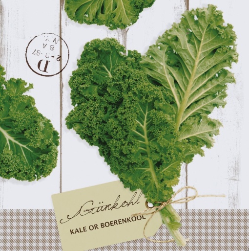 Празнични салфетки Linclass - Grunkohl (зеле) / 40 х 40 см / 50 бр.