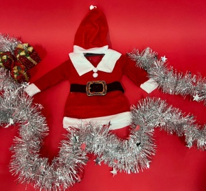 Rochita Cod: 6933 Santa