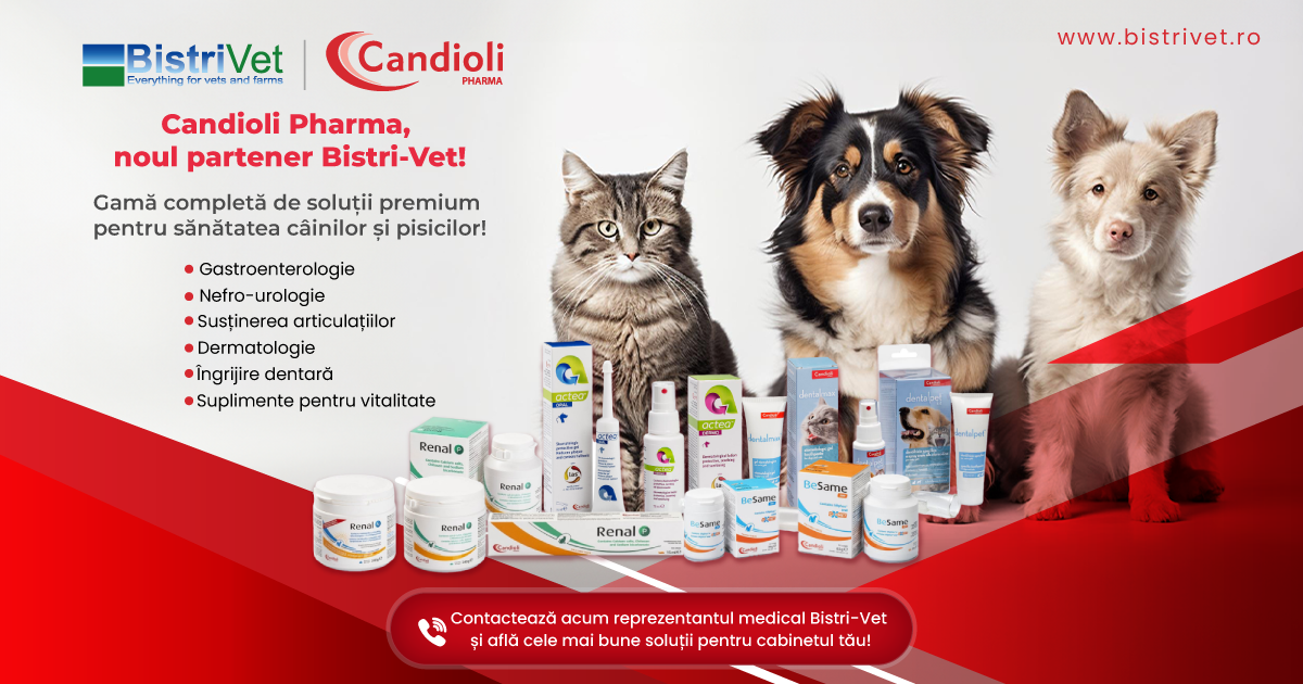 Candioli Pharma – suplimente veterinare premium pentru câini și pisici, acum în portofoliul BistriVet