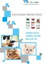 Vaccinuri pentru pisici