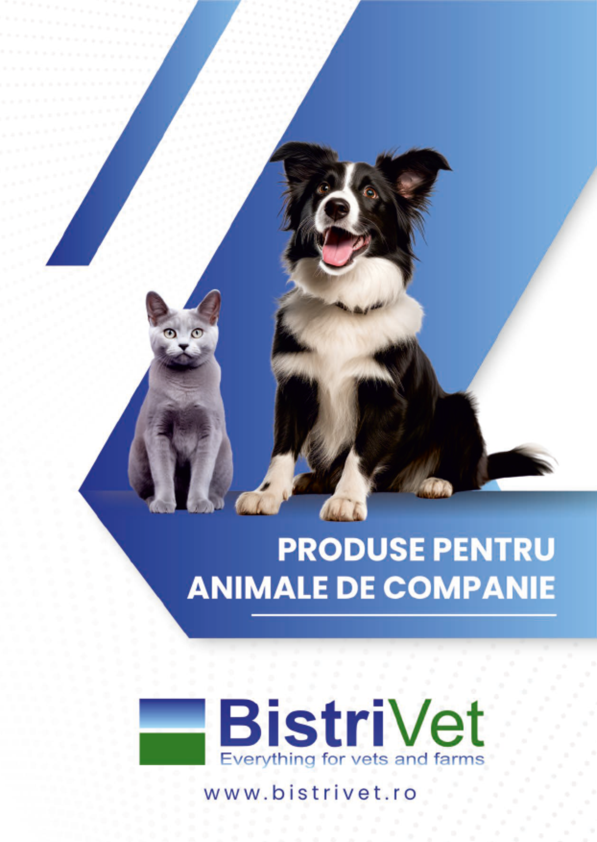 Broşură Borelioză (Boala Lyme)