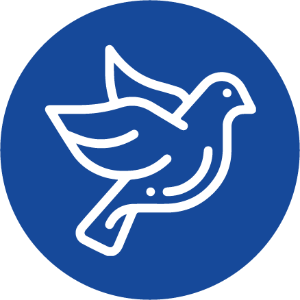 Porumbei