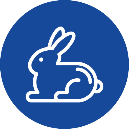 Iepuri