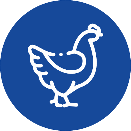 Păsări