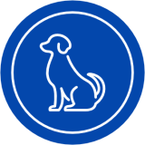 Câini