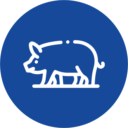 Sertések