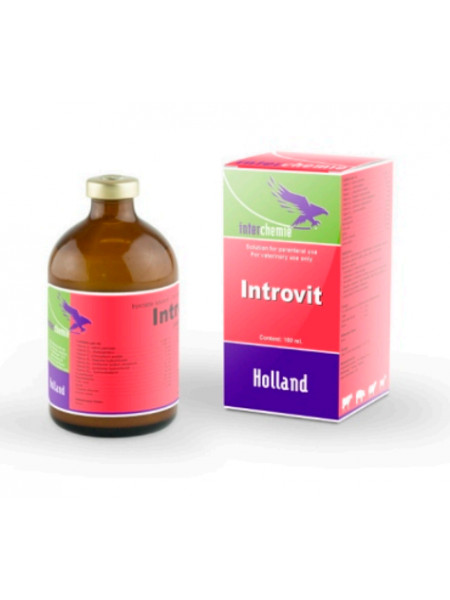 Introvit 100 ml