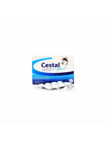 CESTAL DOG PLUS CHEW, CUTIE 8 TAB