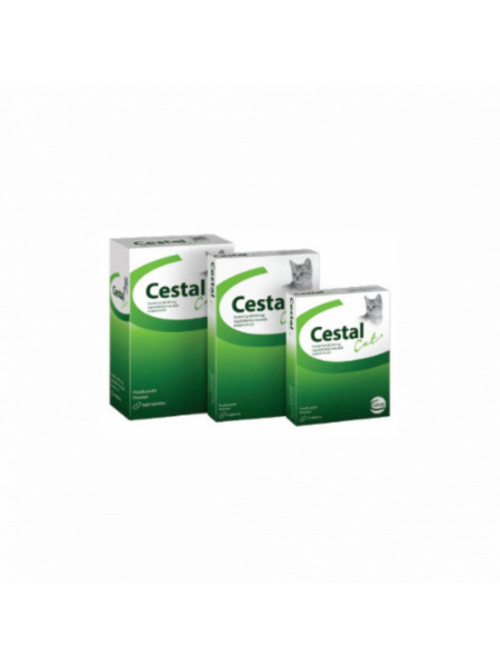 CESTAL CAT CHEW CUTIE 8 TAB