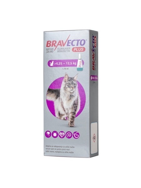 BRAVECTO PLUS FOR CAT 500 MG 1X1 PIP