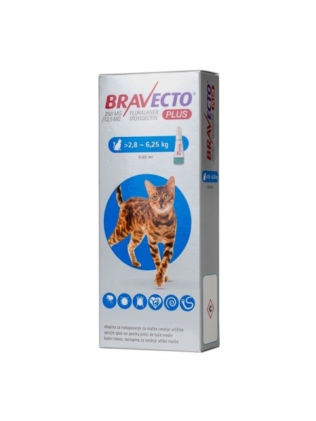 BRAVECTO PLUS FOR CAT 250 MG 1X1 PIP