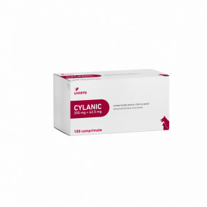Cylanic 250 mg + 62,5 mg