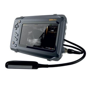 ECOGRAF BVSCAN S6 SONDA RECTALA LINIARA