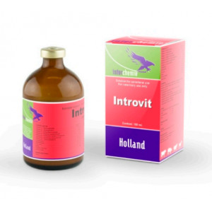 Introvit 100 ml