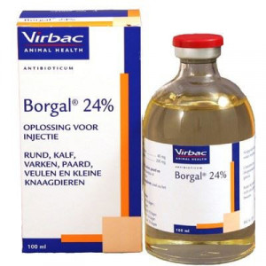 Borgal 24% 100 ml