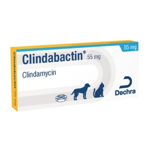 CLINDABACTIN 55MG 10CP DUBLU-DIVIZIBILE