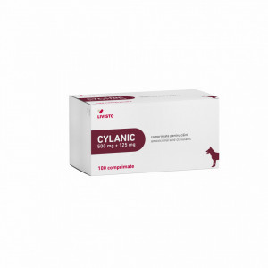 Cylanic 500 mg + 125 mg