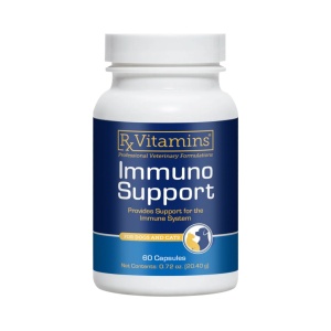 Immuno Support 60 capsule