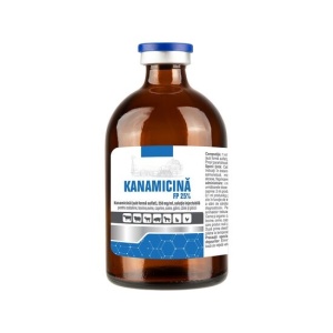KANAMICINA FP 25% INJ 100 ML