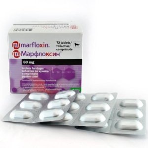 MARFLOXIN 80MG CUTIE X 72TB