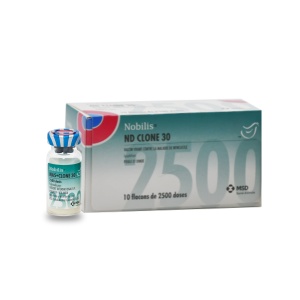 NOBILIS MA 5+CLONE 30 / 2500 DZ
