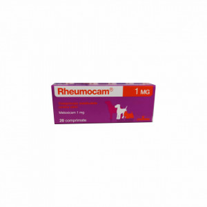 RHEUMOCAM 1 MG / 20 TAB