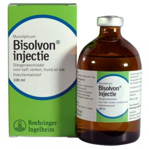 Bisolvon 100 ml