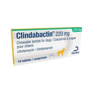 CLINDABACTIN 220MG 10CP DUBLU-DIVIZIBILE