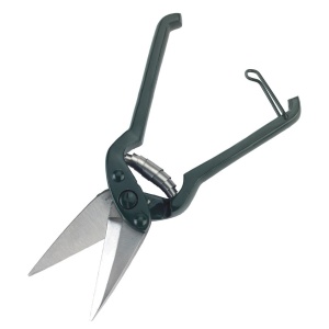 CLESTE COPITA OI CU ZIMTI 1639