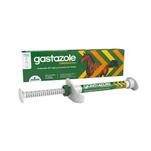 GASTAZOLE 370 MG/G ORAL PASTE